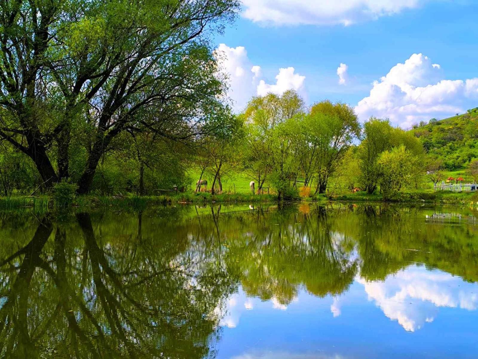 Matyus Udvarhaz Kengyel Fogado เอ็กเกอร์ ภายนอก รูปภาพ